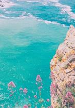 2022唯美的微信皮肤夏日浪漫 我就只想将你收藏