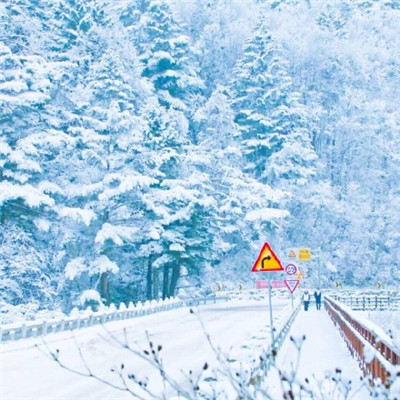 下雪了的说说心情短语2022图片 下雪说说带图片简短精选