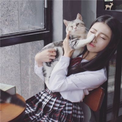 小仙女与小动物的亲密合照头像 美女抱可爱猫咪微信头像高清