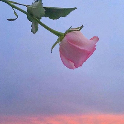 微信朋友圈背景图简约有意境2022 外面好冷想住在你心里