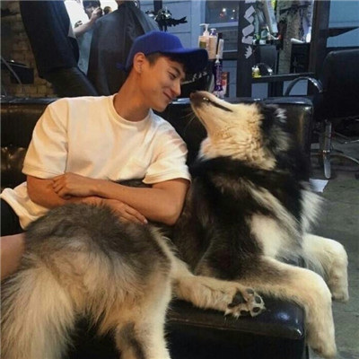 微信头像人抱着萌宠男生头像2022 阳光正好我们去浪