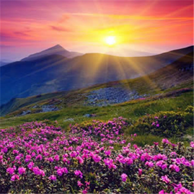 微信最吉利的好看头像2022 会带来好运的微信头像图片花