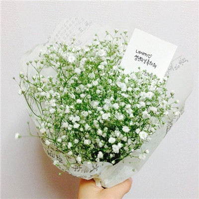 2022微信唯美满天星头像图片 我什么都没有请你谨记