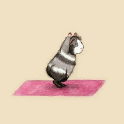 超萌可爱的小仓鼠微信搞笑头像 你都不值得我为你洗头