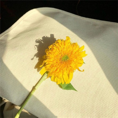 2022最火爆微信头像励志唯美图片 世事难料所以才有人生的味道