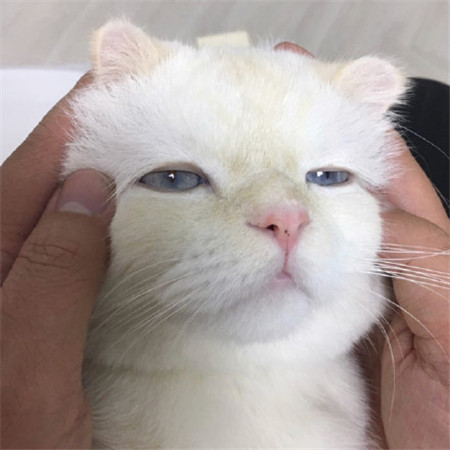 小仙女专属朋友圈背景图萌图 是你的小甜甜也是你的小恶魔