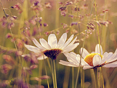 好听有个性的微信网名大全 沧桑过后正年轻