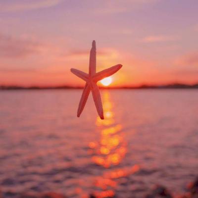 2022四月吉利带好运头像高清 唯美风景头像吉祥如意