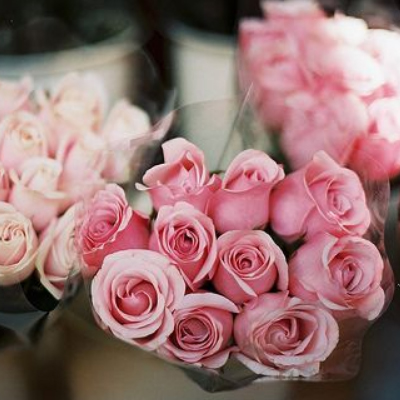 314白色情人节玫瑰花图片 2022白色情人节图片唯美浪漫