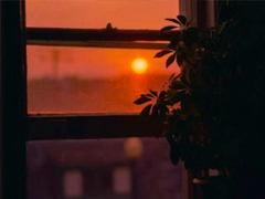 女生微信个性签名唯美励志 2022最新阳光励志签名合集