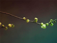 2022立春朋友圈文案 立春个性说说句子