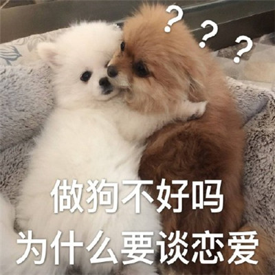 关于爱情的表情包图片 恋爱专用表情包搞笑