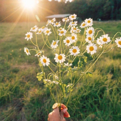 微信表达心情好签名短句 愿开心和你都不请自来