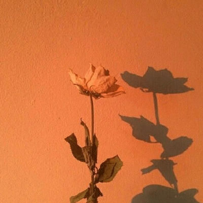 超美日落夕阳意境风景图片背景 相识匆匆忙忙日思夜想