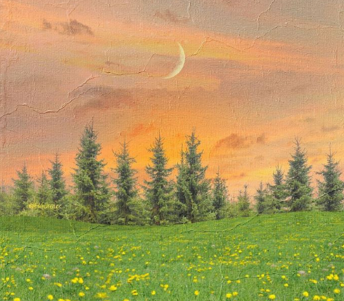 2022有点丧的伤感签名 没有感同身受只有冷暖自知