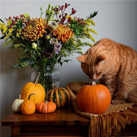 一眼就很开心的背景图素材2023 浪漫的年纪别活的太无趣