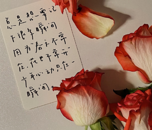 失恋博物管里的心酸语录 很戳心的经典文案大全