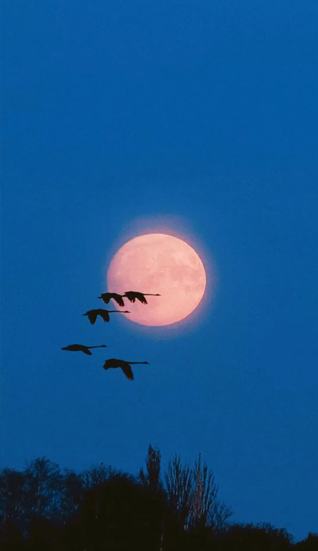 那些瞬间让人忘记疲惫的壁纸 很好看的有很精致的壁纸