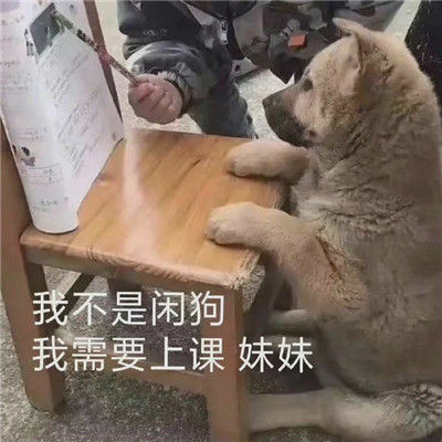 超级搞笑的趣味的精选表情合集 来自单身狗羡慕表情