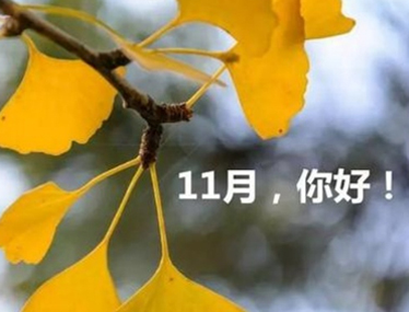 2023十月再见十一月你好心情说说 十月再见发朋友圈的短句