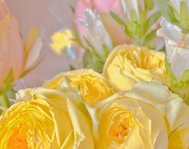 关于别来无恙的文案 别来无恙的唯美短句