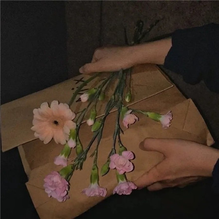 超适合做背景图的好看的图片2023 没有变化的平淡才是幸福