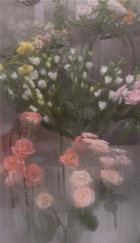 很舒心的全面屏锁屏精致壁纸 很温暖治愈人心的锁屏