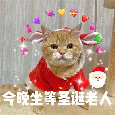 2023圣诞节可爱的萌娃表情 今年又是一个人过圣诞