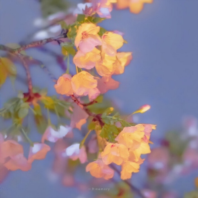 2023给你带来好运的闪闪微信头像 给你带来好运的精致微信头像