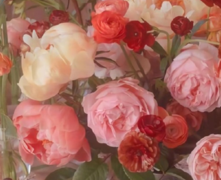 十二月再见一月你好心情说说 2023一月你好心情语录