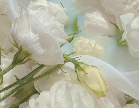 2023很火很潮的微信签名短句 很好听的个人微信签名短句