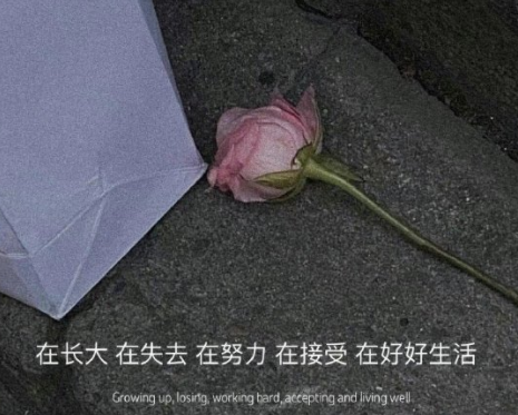 让人红眼鼻酸的伤感说说 2023全新很揪心的伤感语录