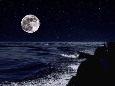 关于生活的丧句文案短文2023 温柔的丧丧的短句