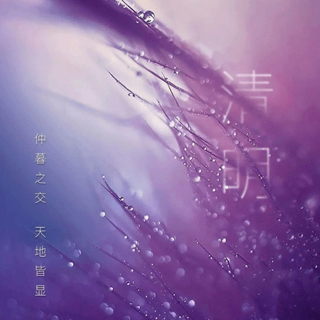 2023清明节唯美带字图片大全大图 清明过后春日少读书阅卷趁光阴