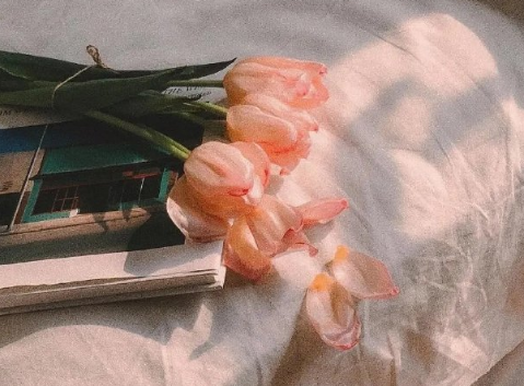 句句心碎的朋友圈文案 2023令人心烦的句子