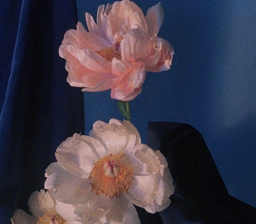 微信个性签名幸福的句子 陪伴的暖心幸福签名