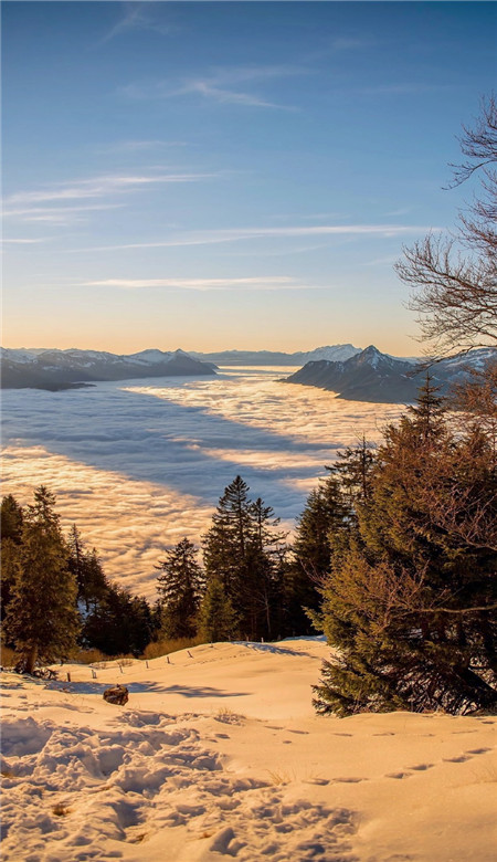 超级好看竖屏手机壁纸ins风景 意境好看的高清风景皮肤2023