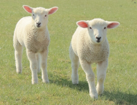 2023五月第一天的早安励志说说 五月你好的正能量心情语录