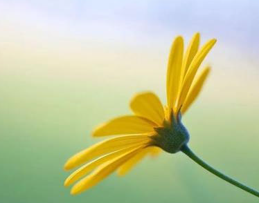 六月请善待我的说说 2023六月对我好点心情短句