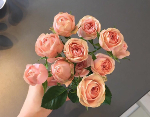 很有气质的暖心微信幸福签名 经典的特别甜的幸福签名大全