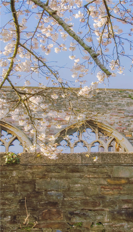 超超超好看的小仙女手机壁纸 祝你我有数不尽的鲜花和浪漫