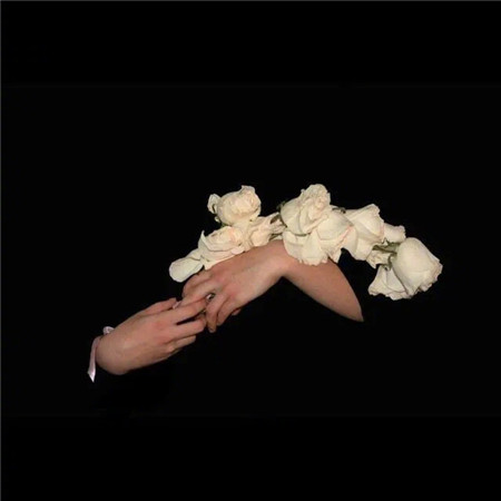 2023暗黑系静物微信图片丧系 在不喜欢你的人那里去看清世界