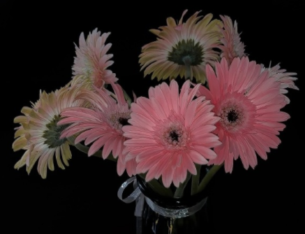 最新出炉很新颖的土味情话文案 最新版特别撩人的土味情话