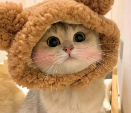 宝宝乳名大全2023洋气男女通用 超级好听的小可爱乳名合集