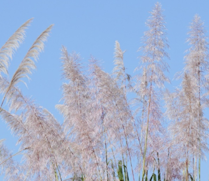 总结2023上半年的一句话简短 上半年结束的心情感悟