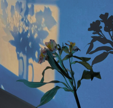 同学聚会经典句子发朋友圈 同学聚会发照片的文案