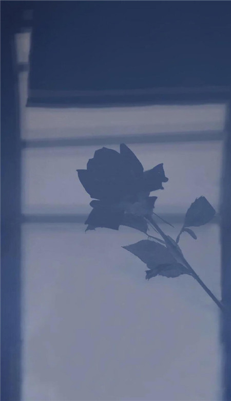 2023蓝色风景图片高清壁纸ins风 我这辈子太辛苦了每天都在熬夜睡觉