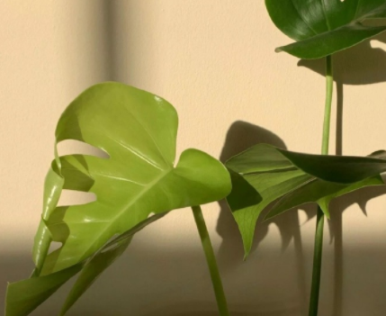 2023八月第一天发的心情说说 八月请对我好一点的文案