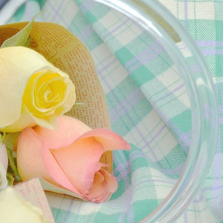 2023超级唯美小清新的浪漫鲜花图片简约 没能给我送花后来每个朋友过生日我都想送花