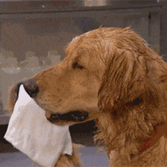 最新沙雕动图超级可爱很热门的聊天表情 最新版有趣的动态表情大全2023